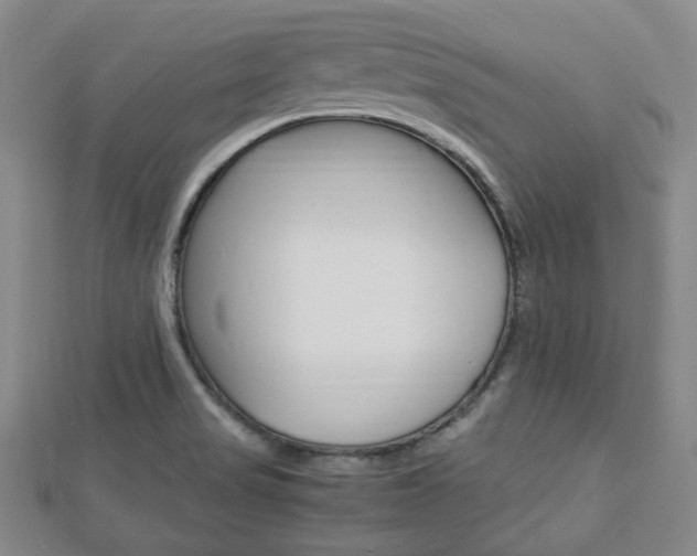 X0000112871517200908211019