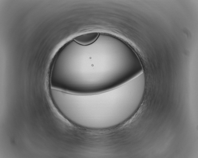 X0000112871518200908211019