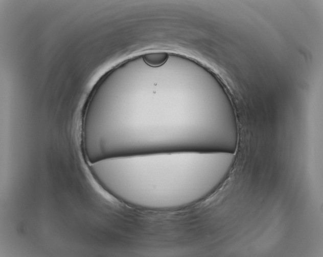X0000112871519200908211019