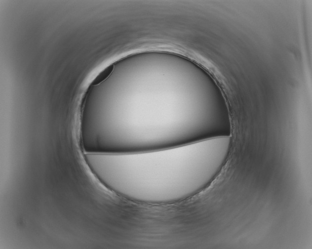 X0000112871520200908211019