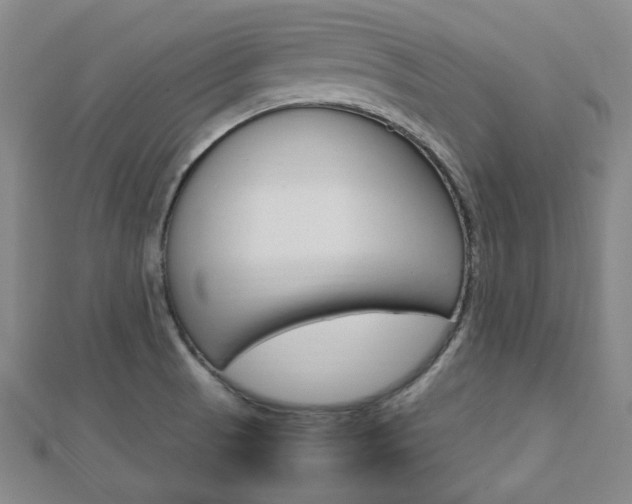 X0000112871521200908211019
