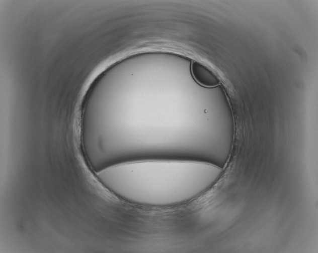 X0000112871522200908211019