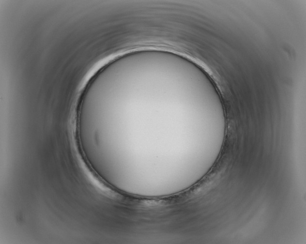 X0000112871523200908211019