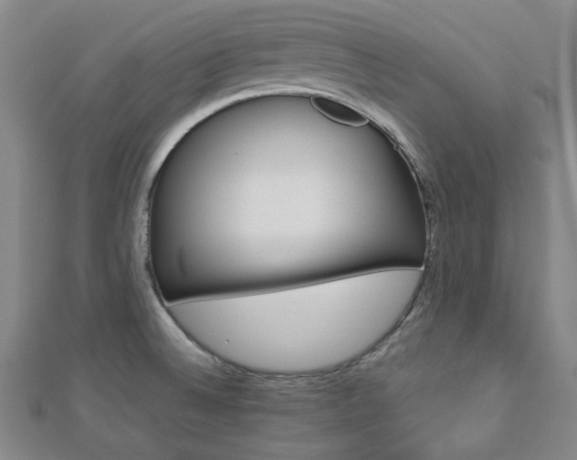 X0000112871524200908211019