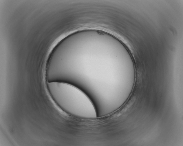 X0000112871525200908211019