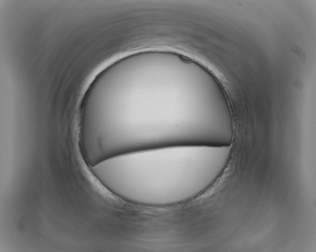 X0000112871526200908211019