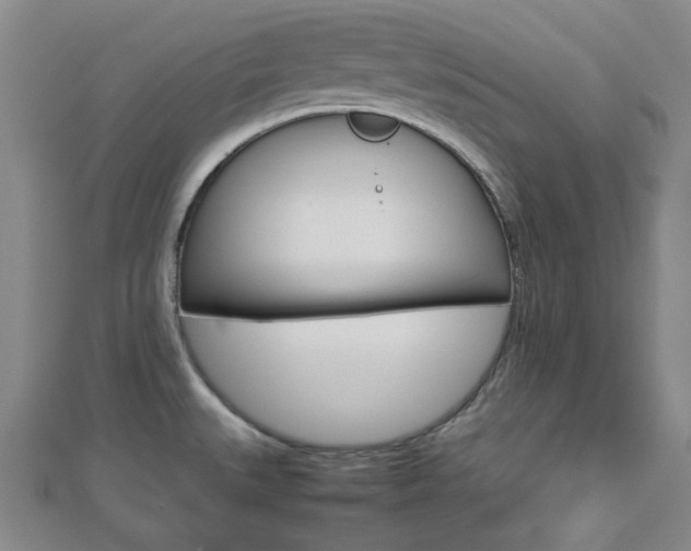 X0000112871527200908211019
