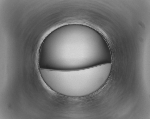 X0000112871528200908211019