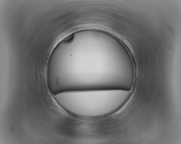 X0000112871529200908211019