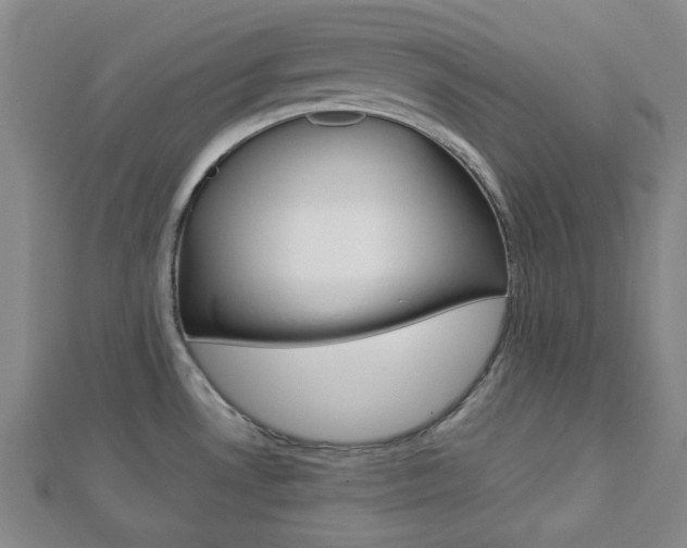 X0000112871530200908211019