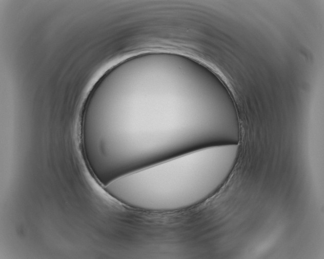 X0000112871531200908211019