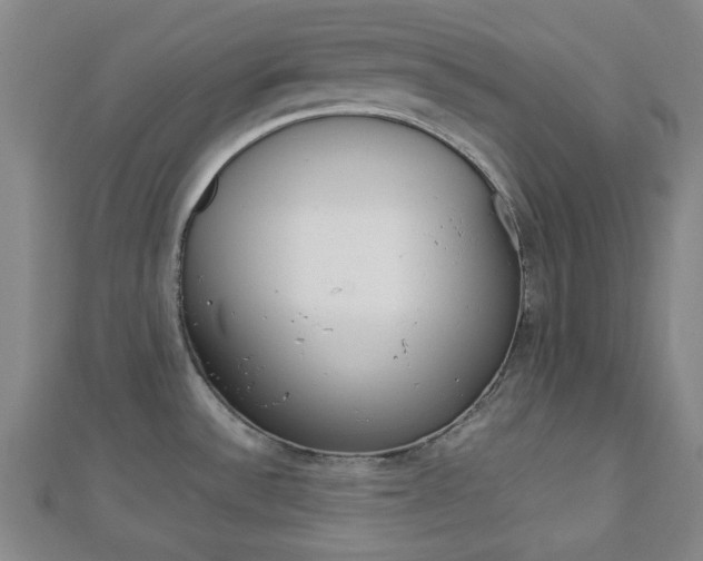 X0000112871532200908211019