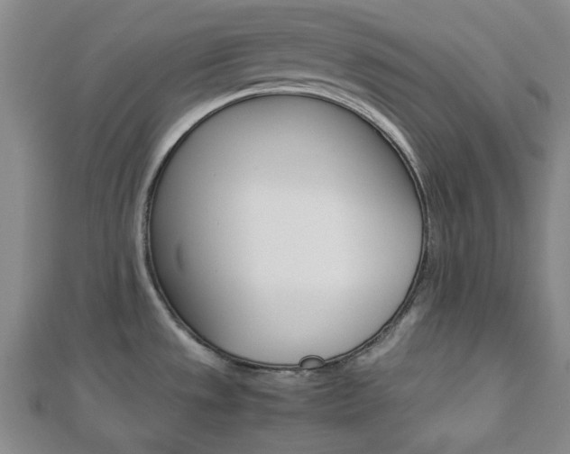 X0000112871533200908211019