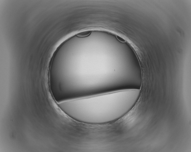 X0000112871534200908211019