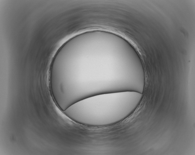 X0000112871535200908211019
