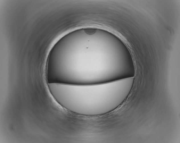X0000112871536200908211019