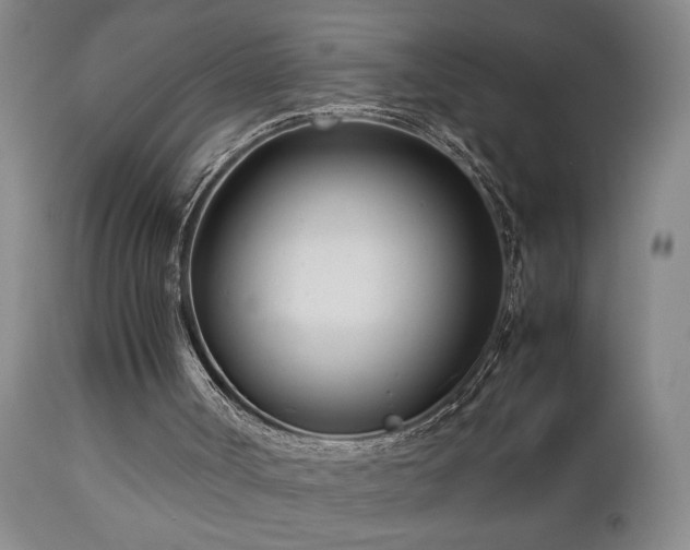 X0000112870002200908211437