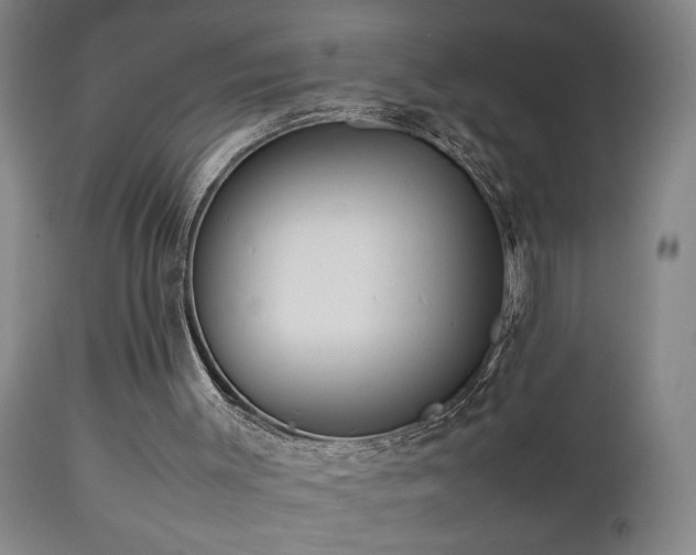 X0000112870003200908211437