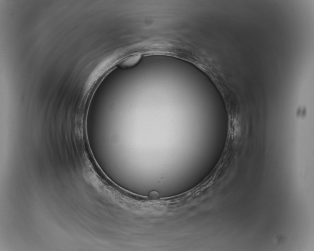 X0000112870004200908211437