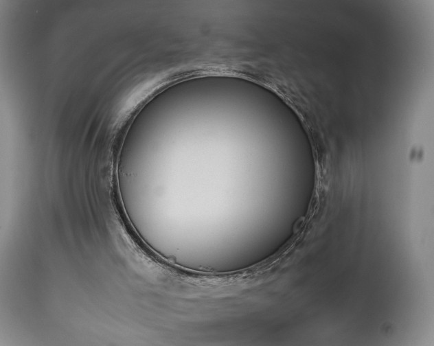 X0000112870005200908211437