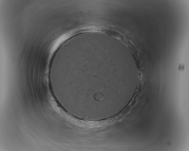 X0000112870006200908211437