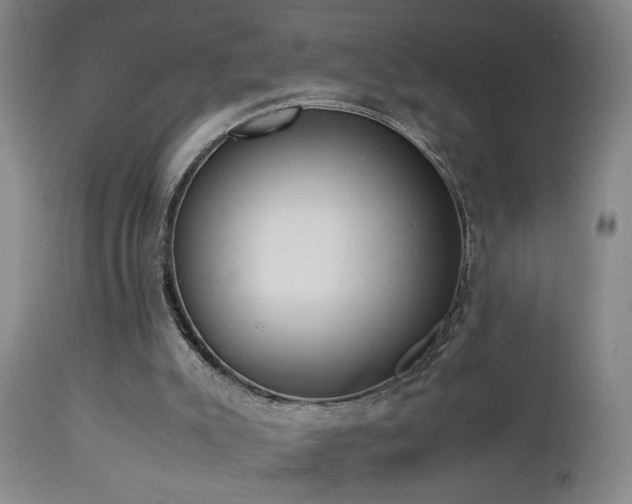 X0000112870007200908211437