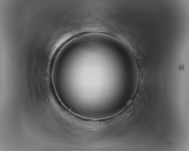 X0000112870008200908211437