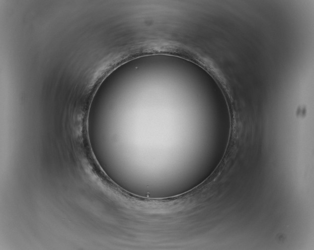 X0000112870010200908211437