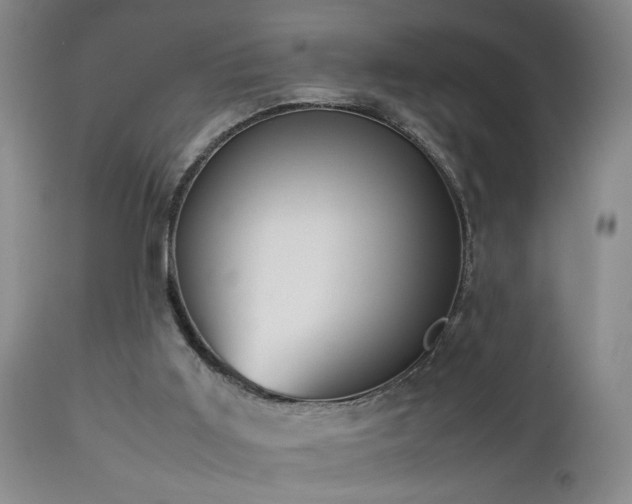 X0000112870011200908211437