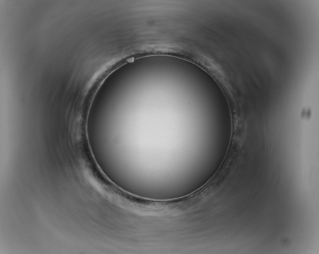 X0000112870012200908211437