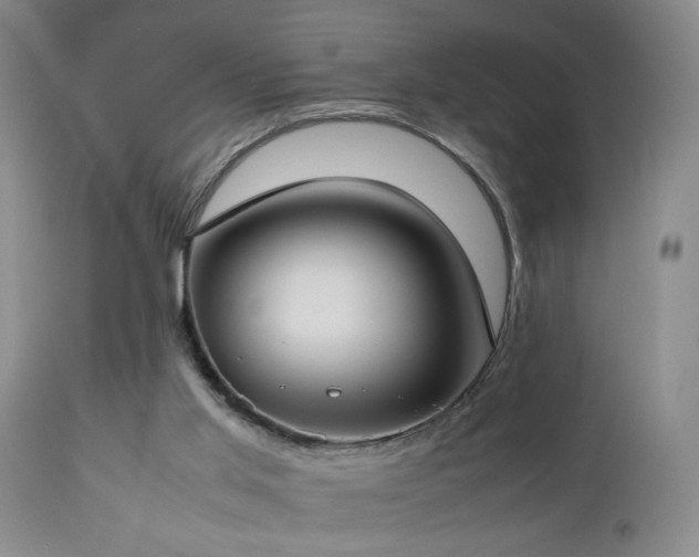 X0000112870013200908211437