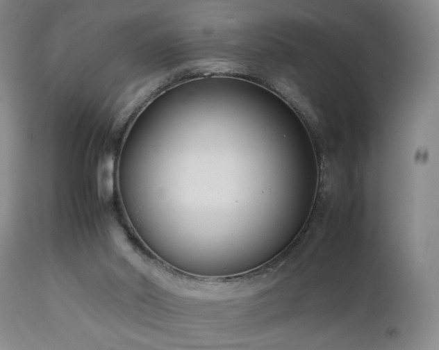 X0000112870014200908211437