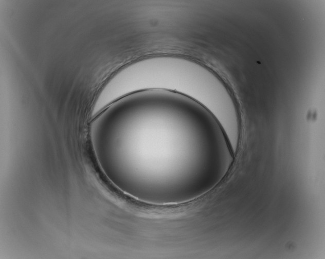 X0000112870017200908211437