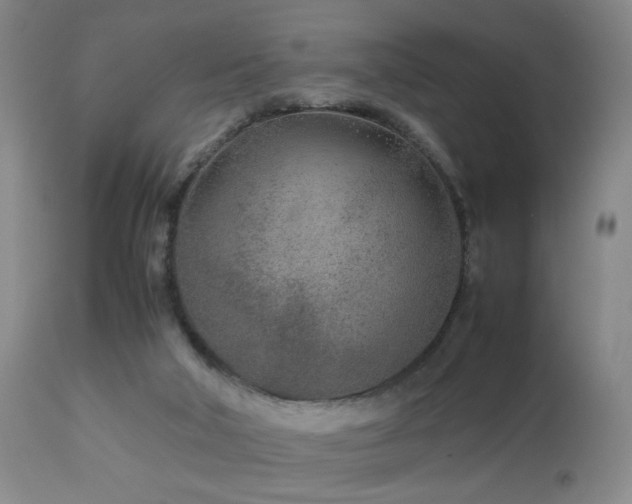 X0000112870018200908211437