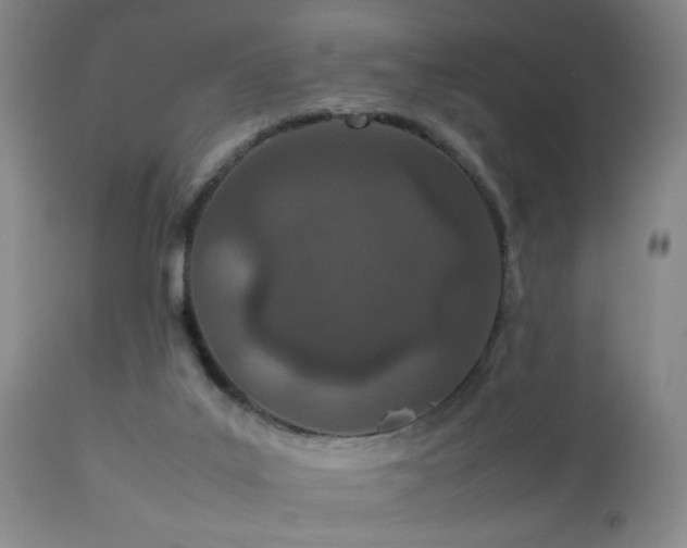 X0000112870019200908211437