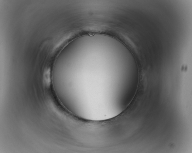 X0000112870020200908211437