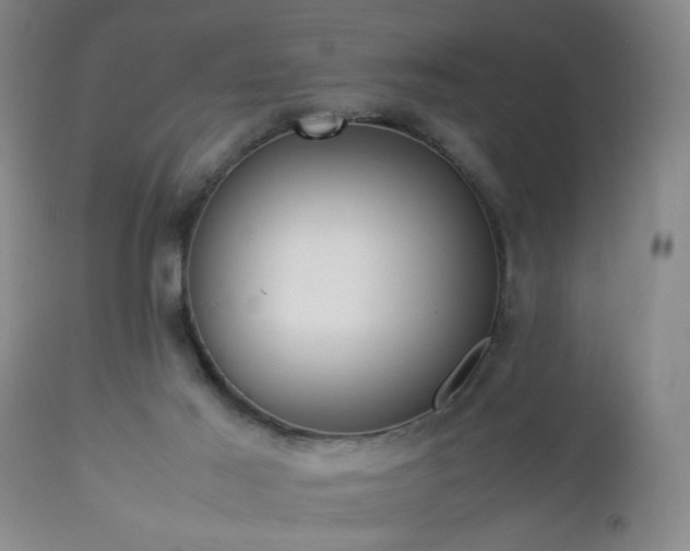 X0000112870021200908211437