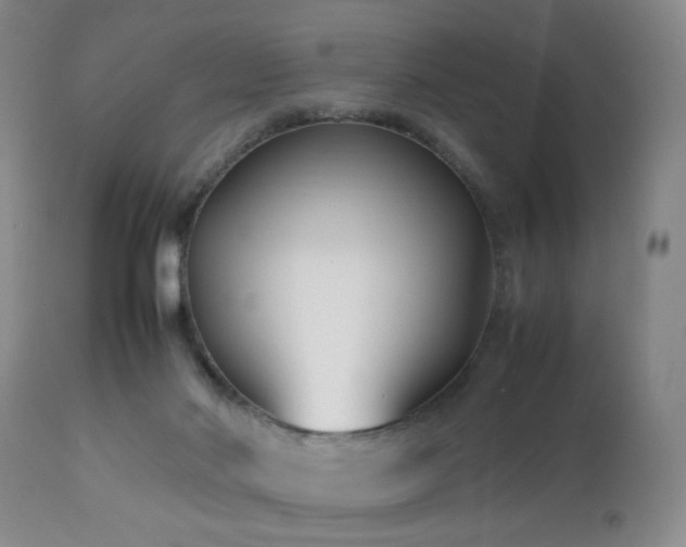 X0000112870022200908211437