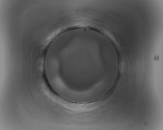 X0000112870023200908211437