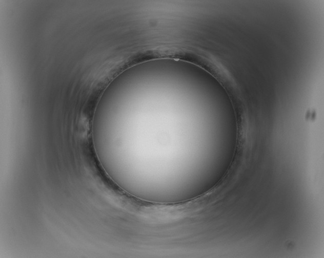 X0000112870025200908211437