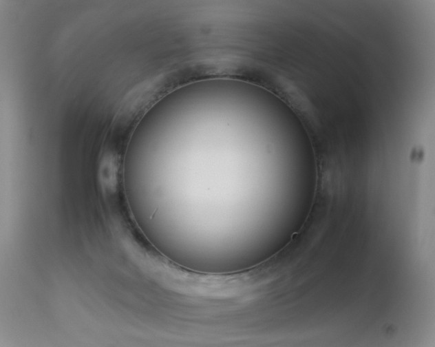 X0000112870026200908211437