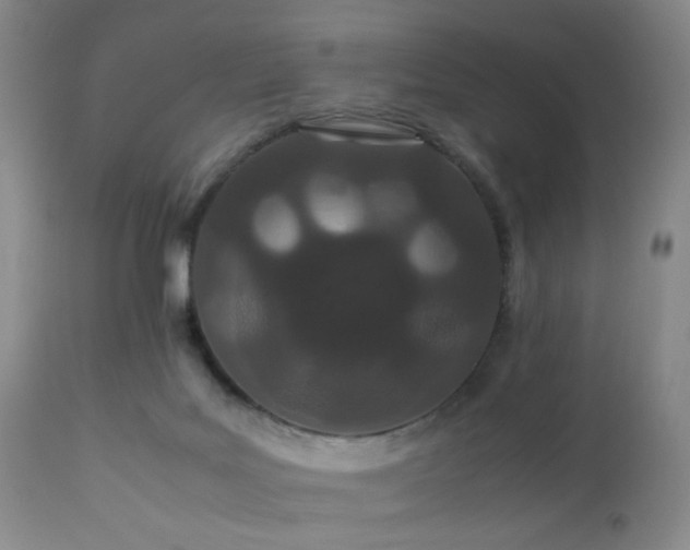 X0000112870027200908211437