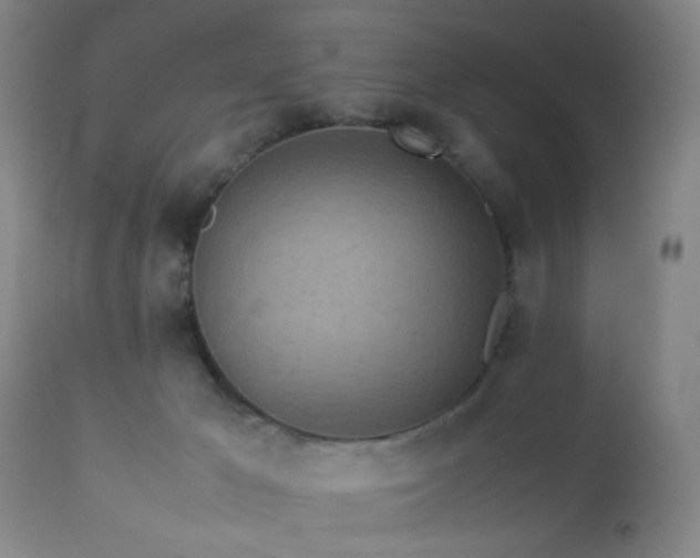 X0000112870029200908211437