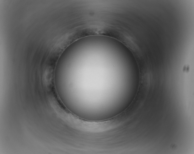 X0000112870030200908211437