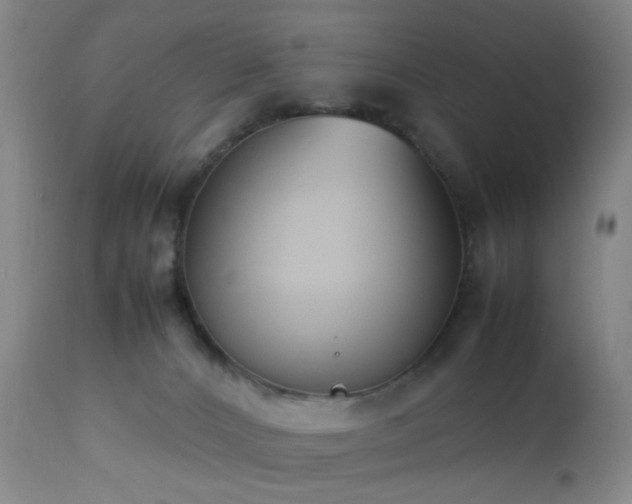 X0000112870032200908211437