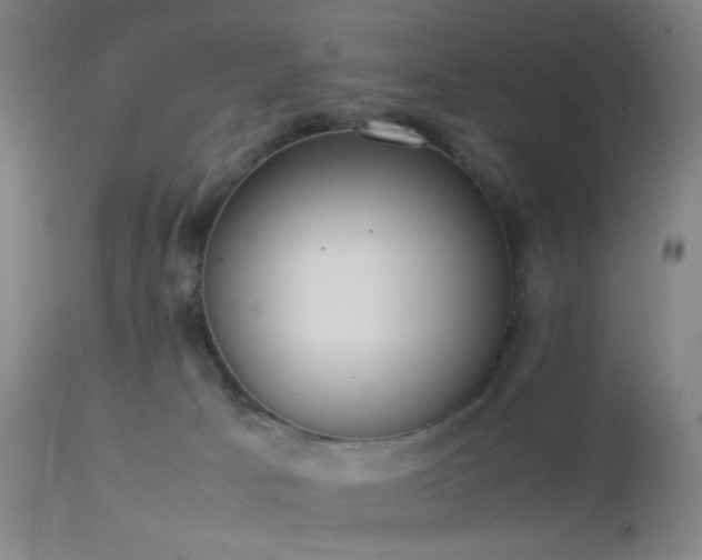 X0000112870033200908211437