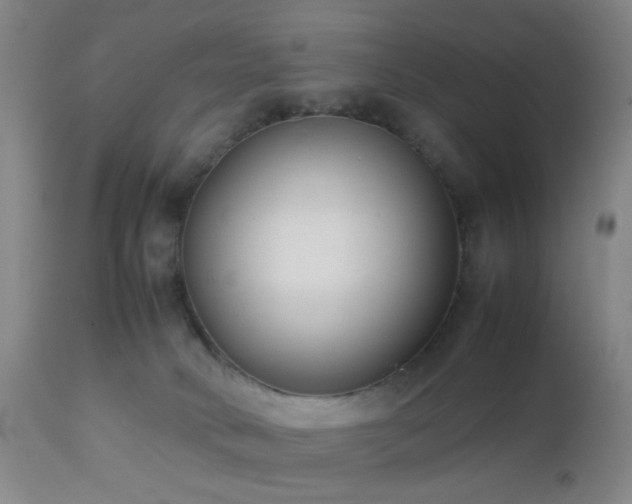 X0000112870034200908211437