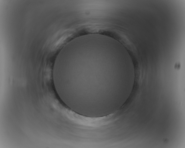 X0000112870035200908211436