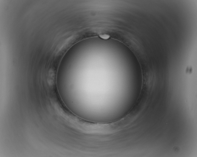 X0000112870036200908211436