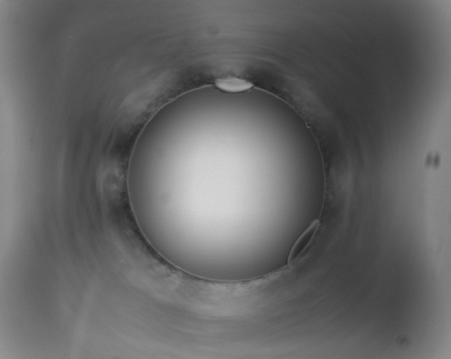 X0000112870037200908211436